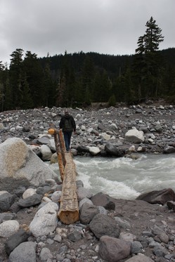 IMG_8561.JPG
