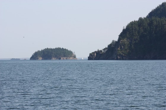 IMG_8974.JPG