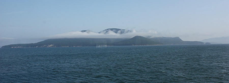 IMG_8984.JPG