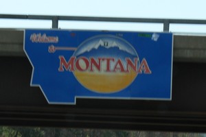 IMG_9165.JPG