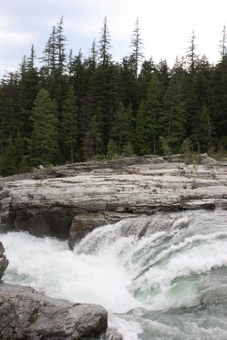 IMG_9429.JPG