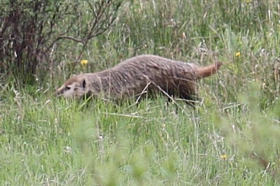 IMG_9837.JPG