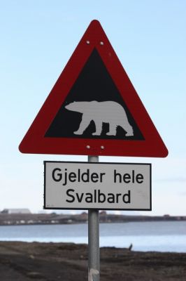 Bild_2138.jpg