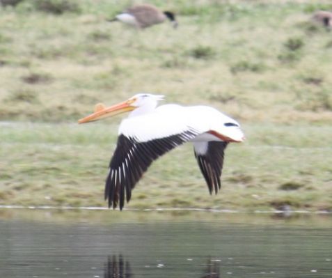 IMG_0632.JPG