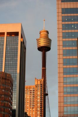 IMG_1356.jpg