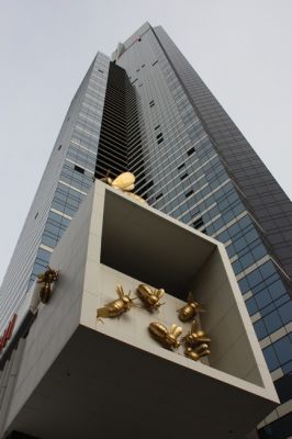 IMG_5695.jpg