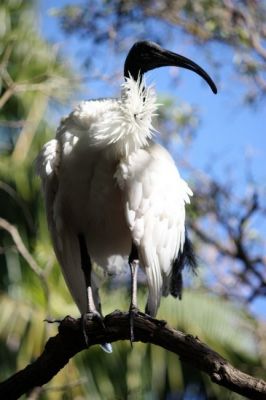 IMG_5714.jpg