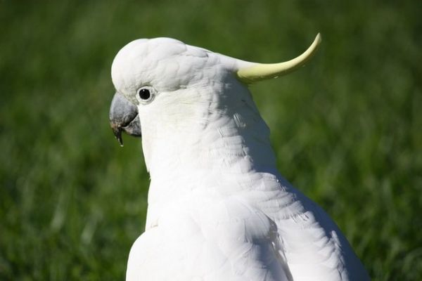 IMG_5739.jpg