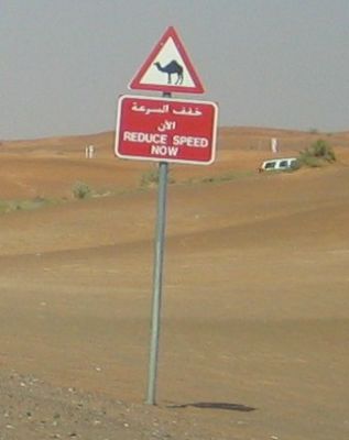 IMG_7424.jpg
