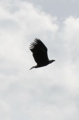 IMG_7438.JPG
