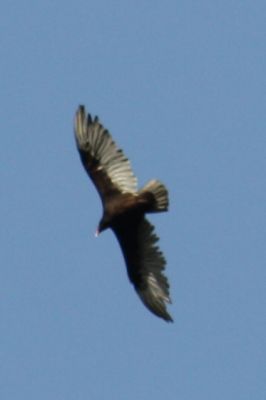 IMG_7442.JPG