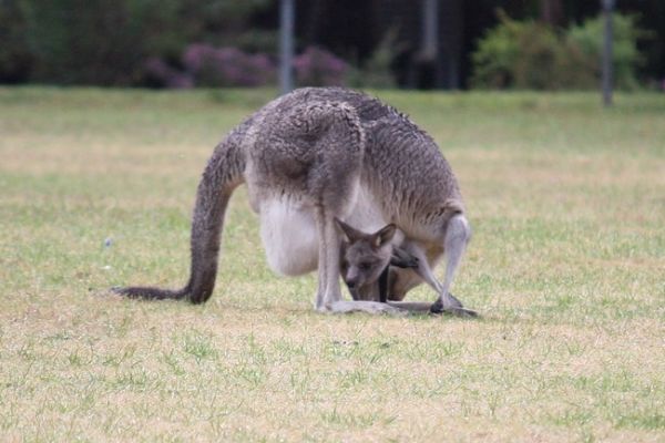 IMG_7619.jpg