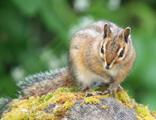 IMG_7676.JPG