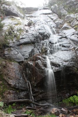 IMG_7684.jpg