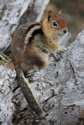 IMG_7842.JPG