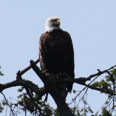 IMG_8755.JPG
