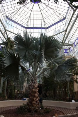 IMG_9300.jpg
