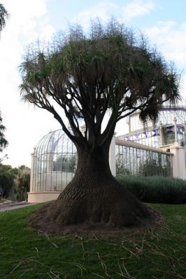 IMG_9305.jpg