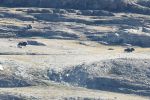 Bild_2798.jpg
