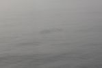Bild_6762.jpg
