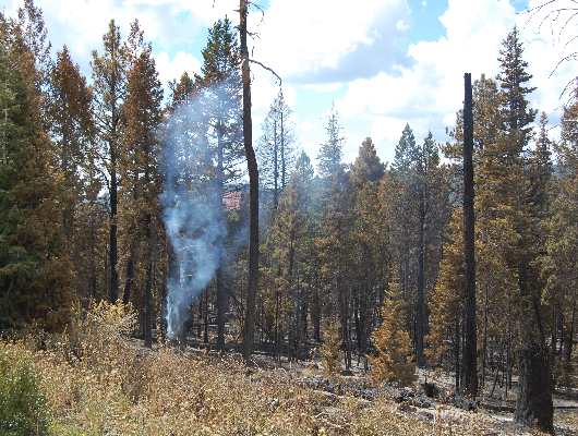 Feuer im Bryce Canyon
