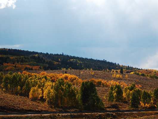 Wasatch Mountains
