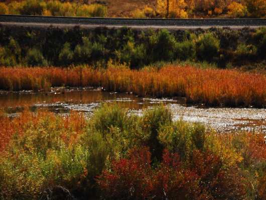 Wasatch Mountains
