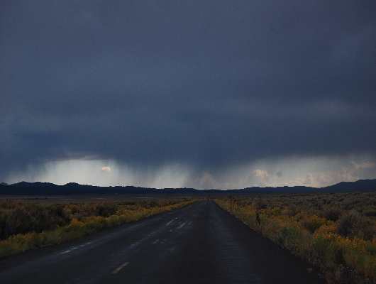 Gewitter
