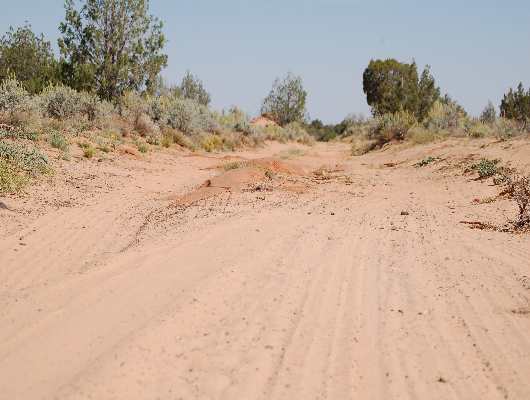 Sandy Road
