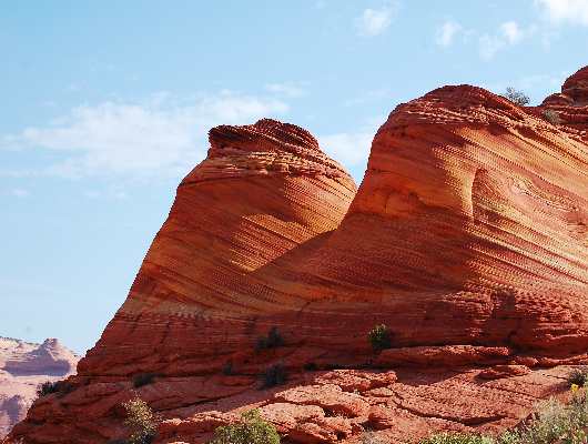 Wavebuttes
