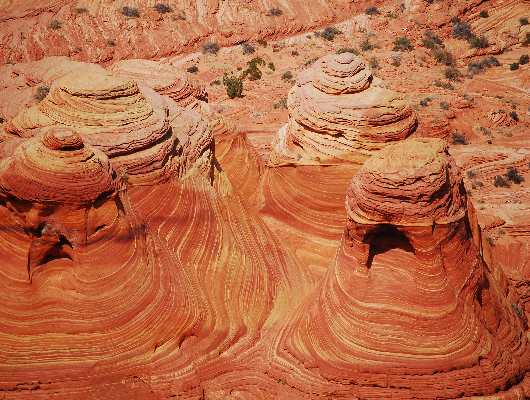Wavebuttes
