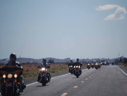 Harleys
