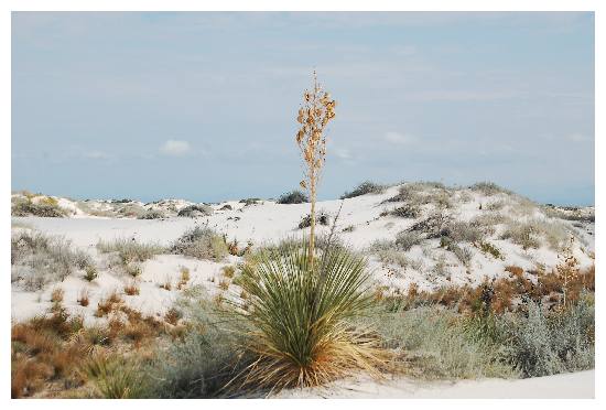 Gipsdunes
