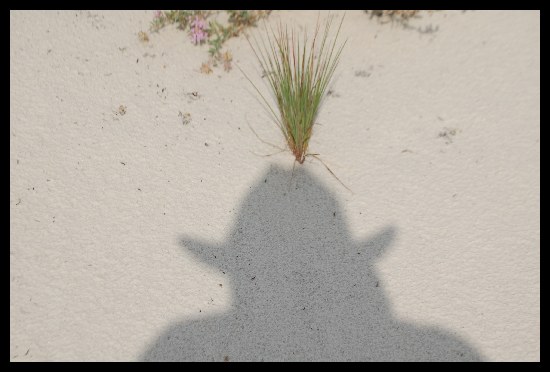 Schatten
