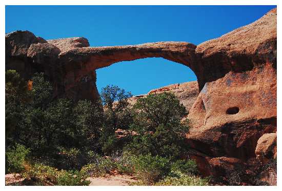 Double O Arche
