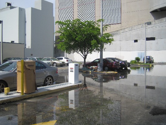 After a Thunderstorm
