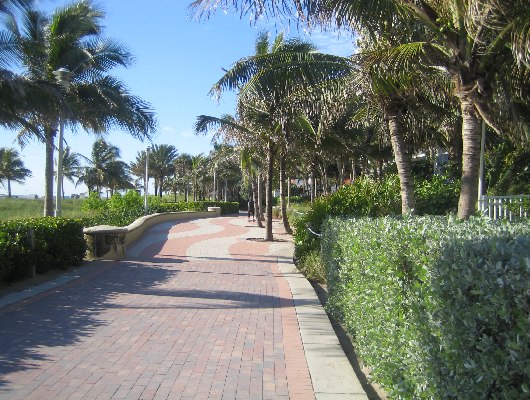 Beachwalk
