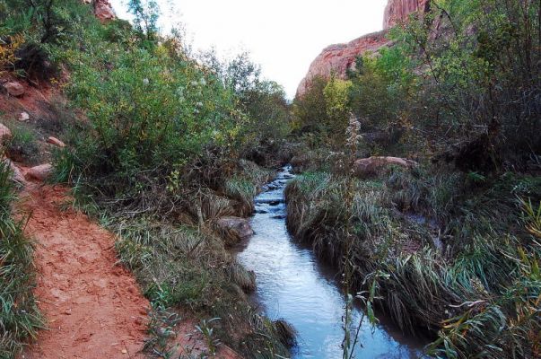 Negro Bill Creek
