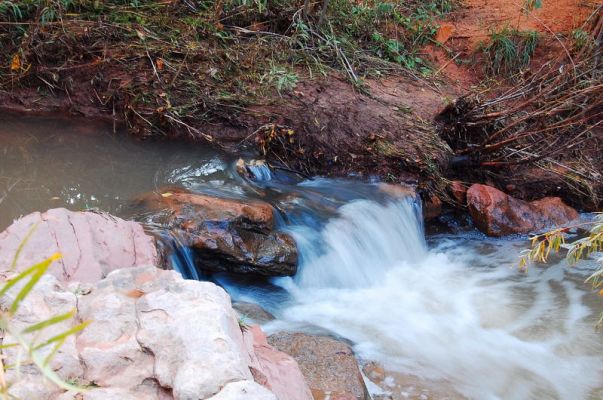 Negro Bill Creek Rapids
