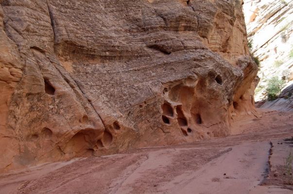 Canyon Holes
