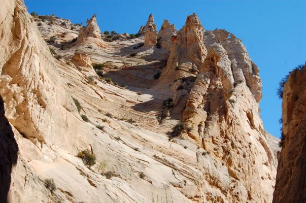 Canyon View
