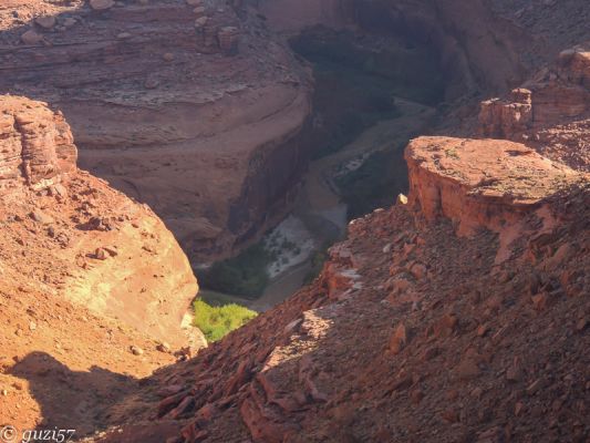 Blick in den Coyote Gulch von Crack in the Wall
