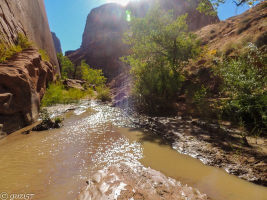 Coyote Gulch
