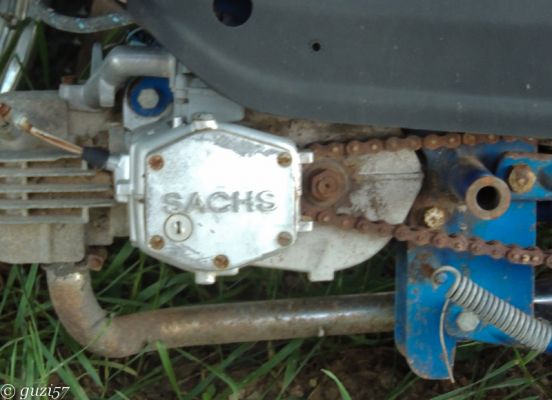 Sachs
