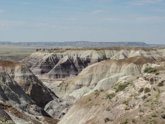 Blue Mesa
