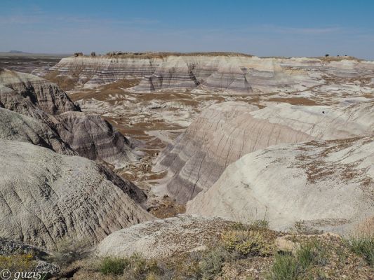 Blue Mesa
