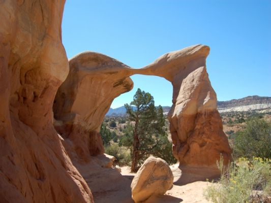 Metate Arche
