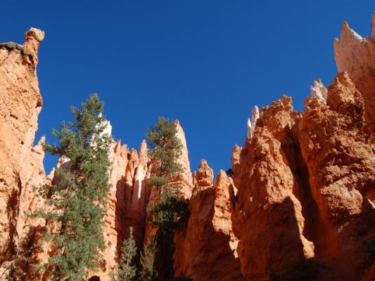 in Navajo Loop

