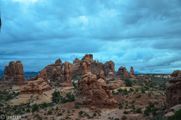 Arches 
