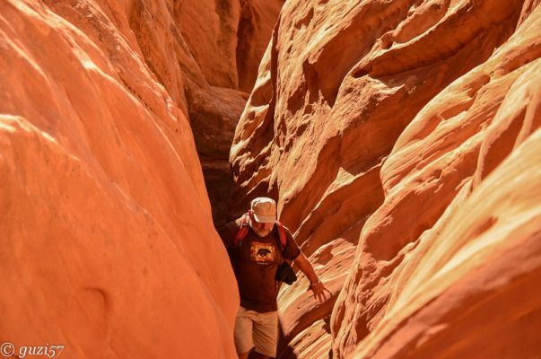 Herbert im Slotcanyon
